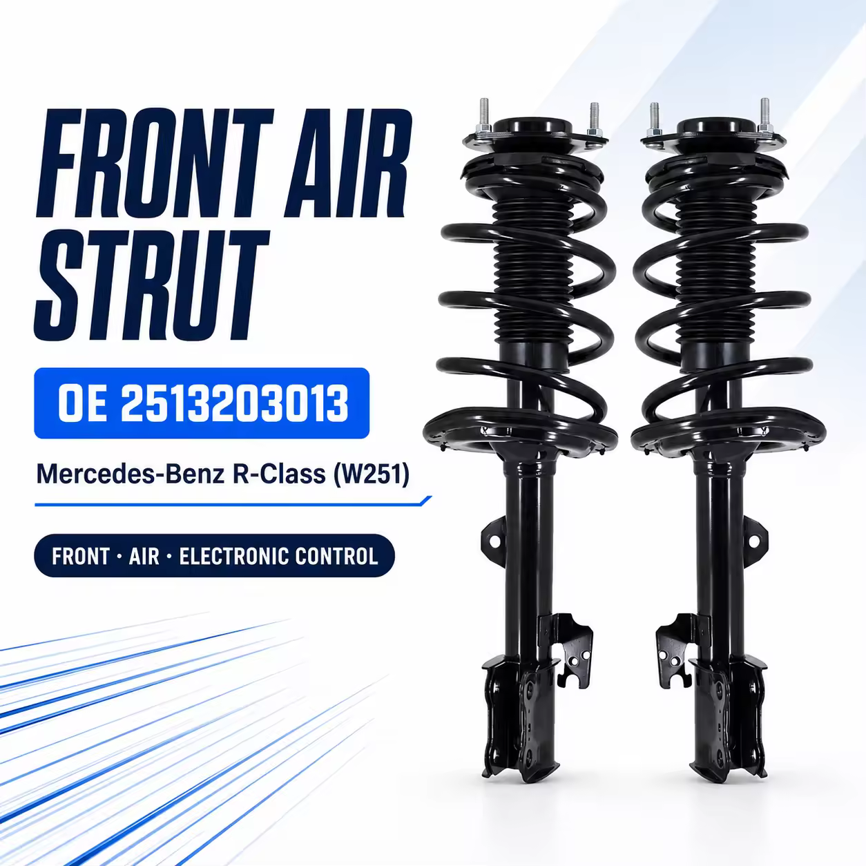 Shock Absorber for Mercedes-Benz R-Class (W251)