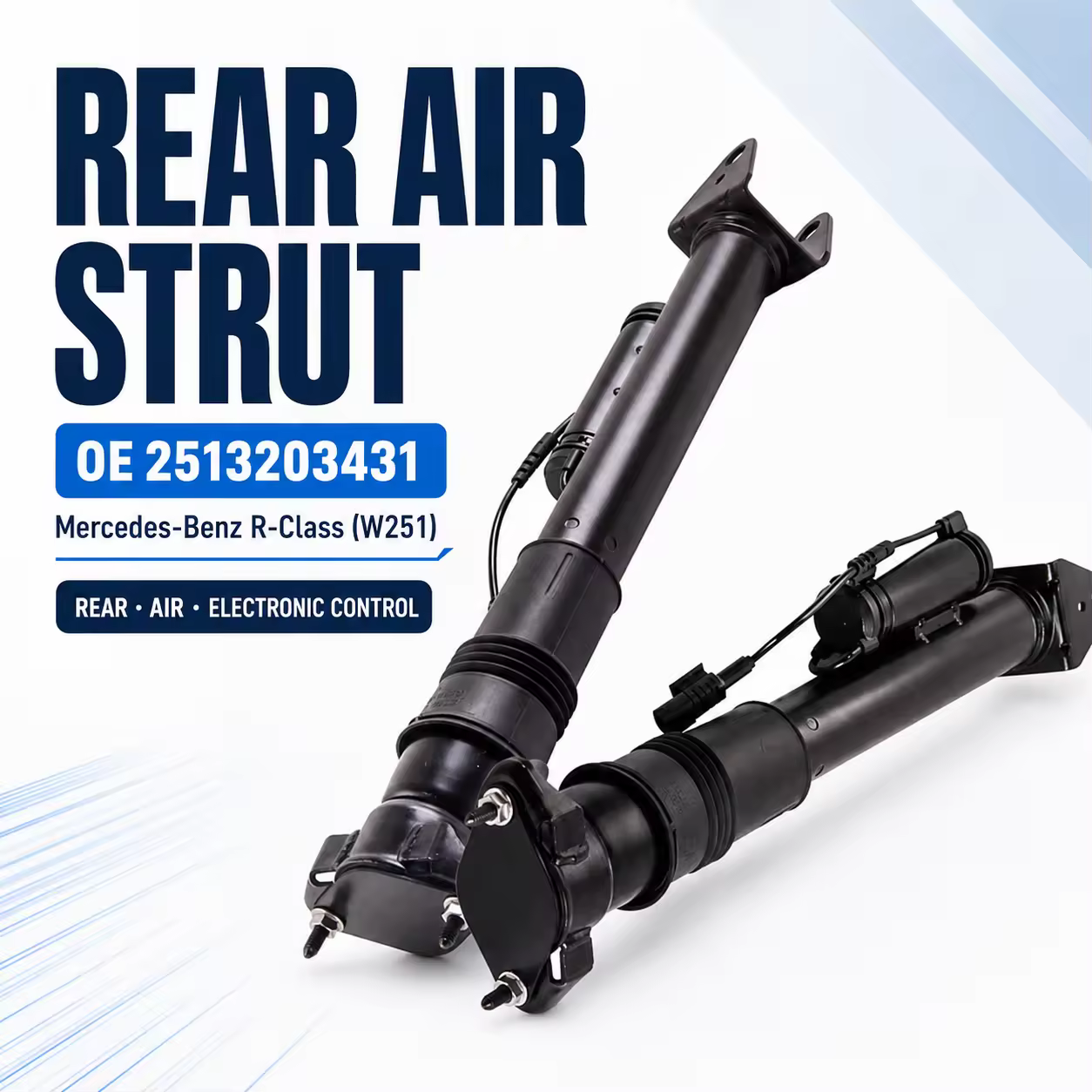 Shock Absorber for Mercedes-Benz R-Class (W251)